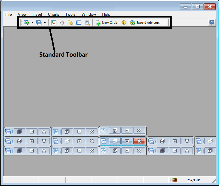 MT5 Standard Toolbar and Tools on the MT5 Platform Interface - Bitcoin Platform MetaTrader 5 Bitcoin Platform Setup