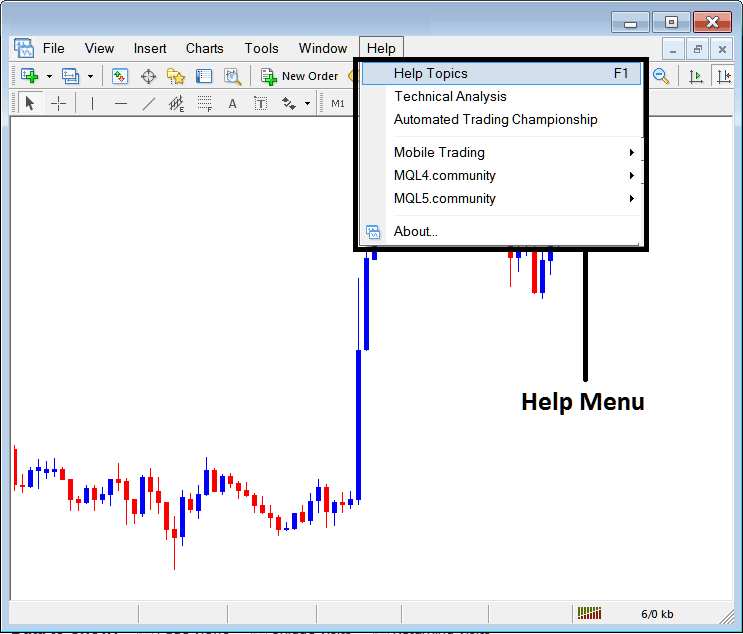 Help Button Menu on MT5 Software - MetaTrader 5 BTCUSD Trading Software Setup PDF