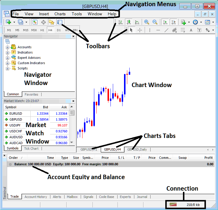 MT5 Bitcoin Charts Tab on MT5 Software - MetaTrader 5 Live Bitcoin Chart