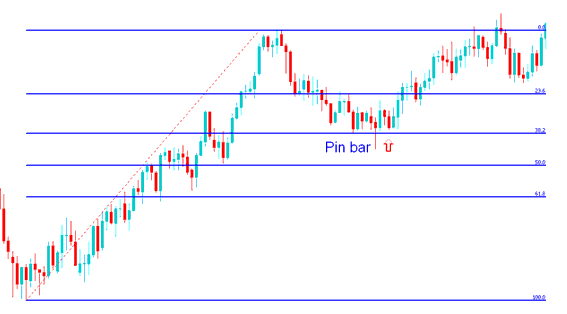 Pin Bar Price Action Combined with Fibonacci Retracement Levels