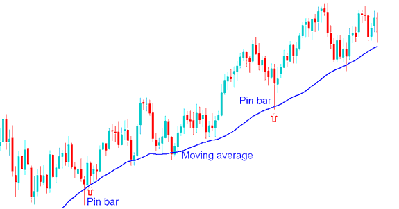 Pin Bar Price Action Combined with Moving Averages - BTCUSD Trading Reversal Strategy